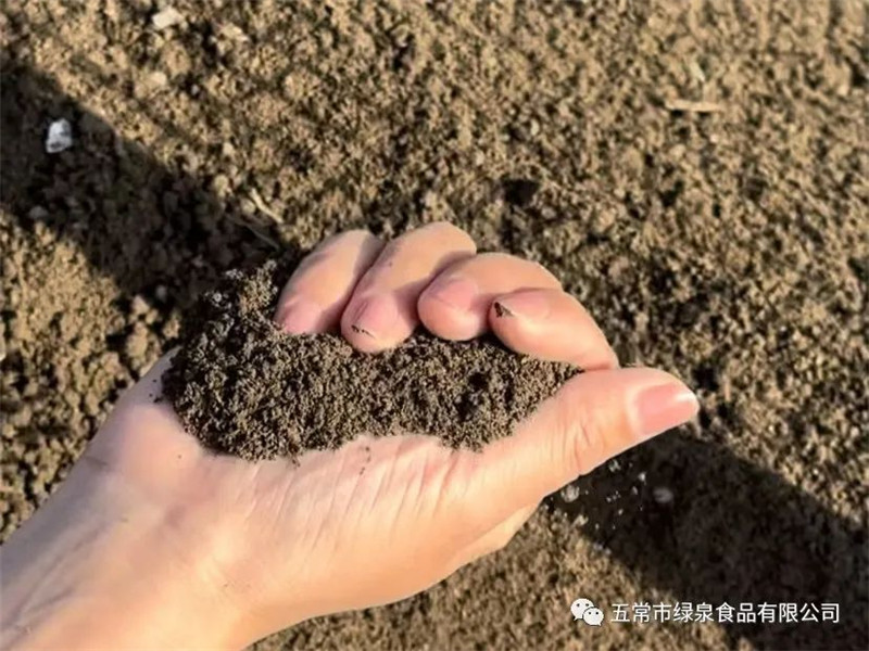 1681115057125240.jpg 2.jpg