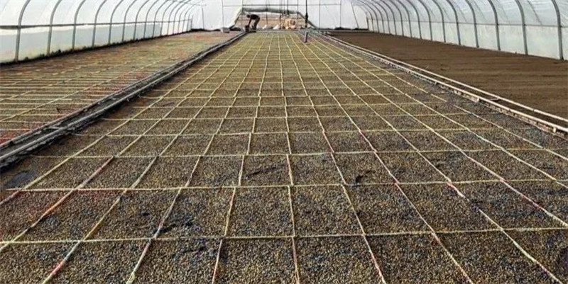 1681115100510769.jpg 4.jpg