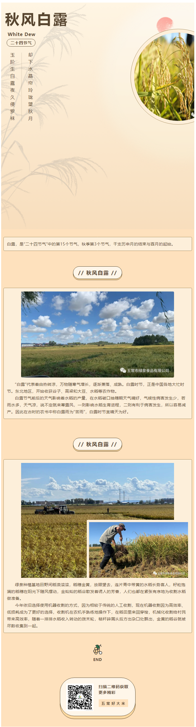 人間忽晚，山河已秋——水稻收割倒計(jì)時！.png